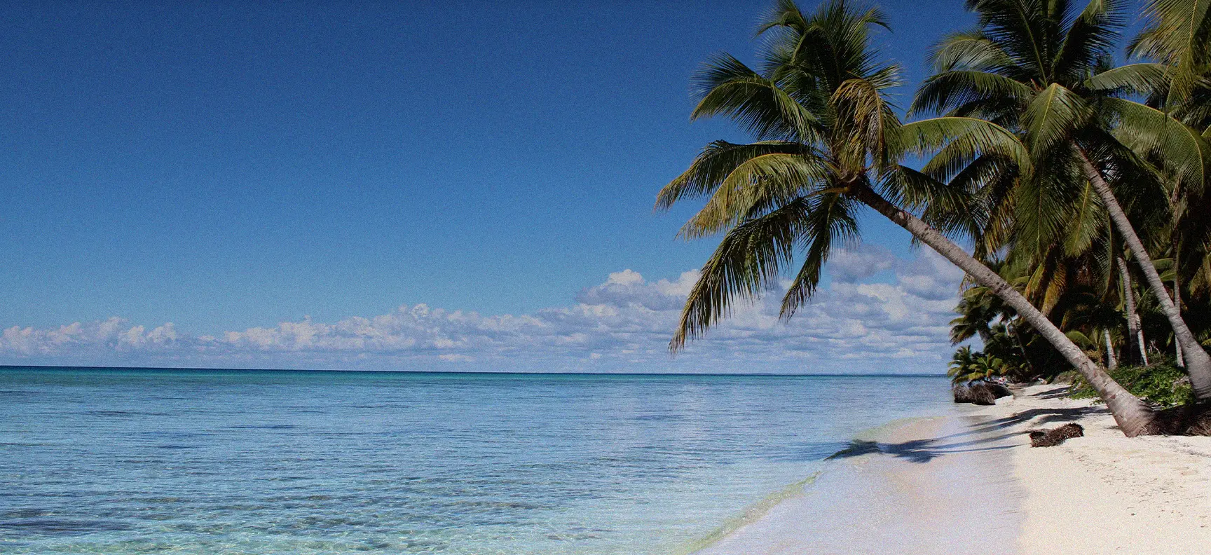 Isla Saona